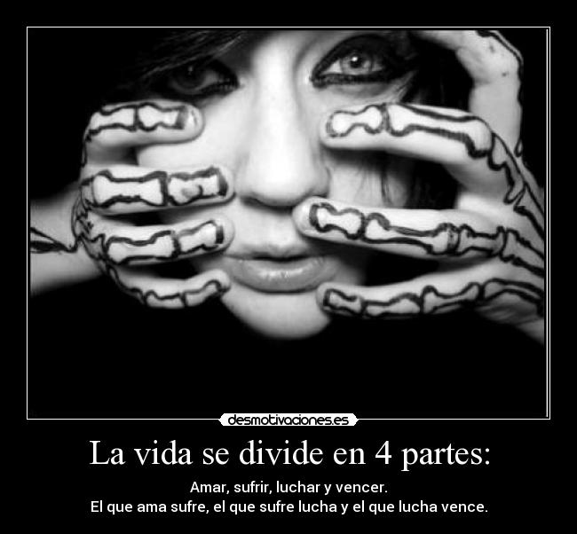 La vida se divide en 4 partes: -