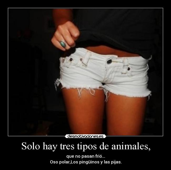 Solo hay tres tipos de animales, - que no pasan frió...
Oso polar,Los pingüinos y las pijas.