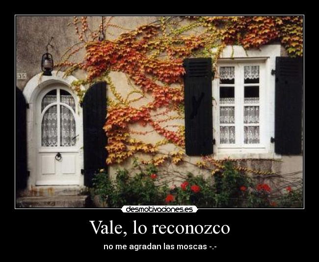 Vale, lo reconozco - 