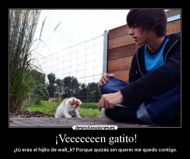 ¡Veeeeeeen gatito! -