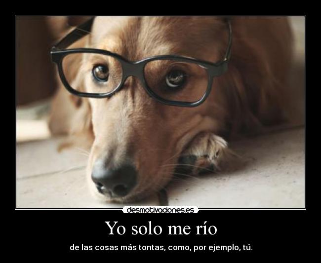 Yo solo me río - de las cosas más tontas, como, por ejemplo, tú.