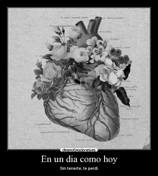 En un dia como hoy - Sin tenerte, te perdí.