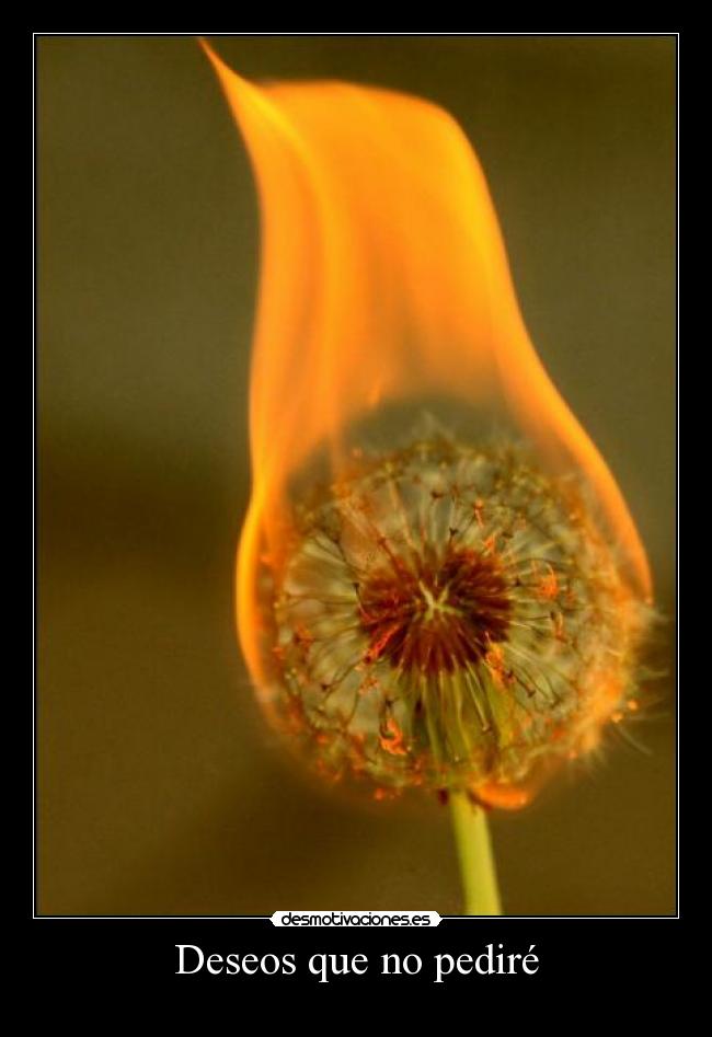 Deseos que no pediré - 