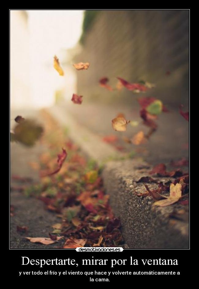 carteles despertarte mirar por ventana frio viento invierno dormir desmotivaciones
