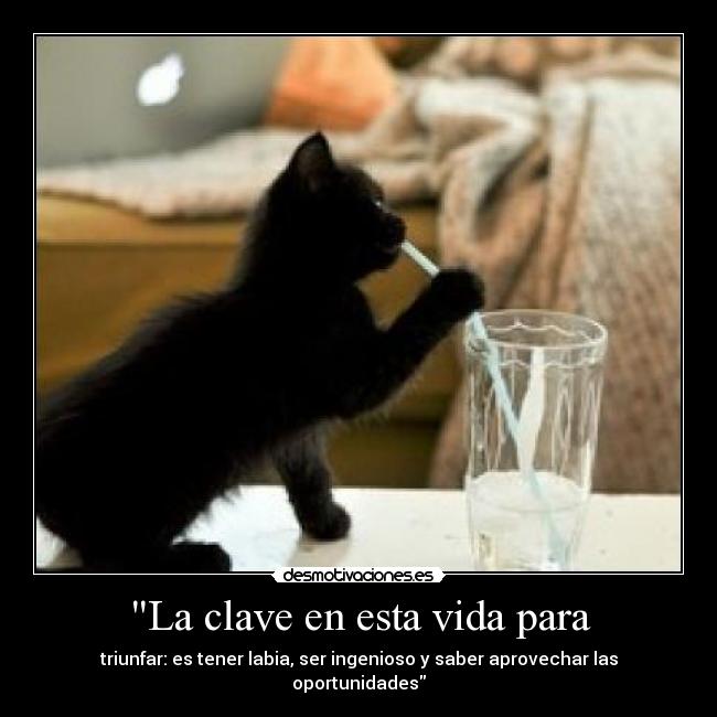 La clave en esta vida para - triunfar: es tener labia, ser ingenioso y saber aprovechar las oportunidades