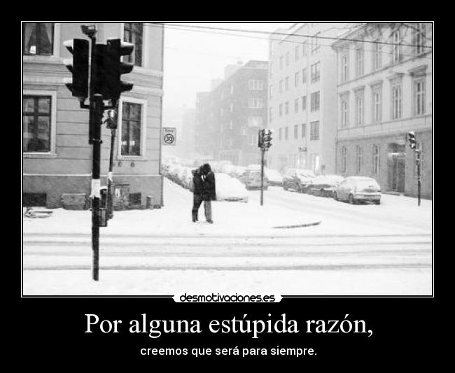 Por alguna estúpida razón, - 