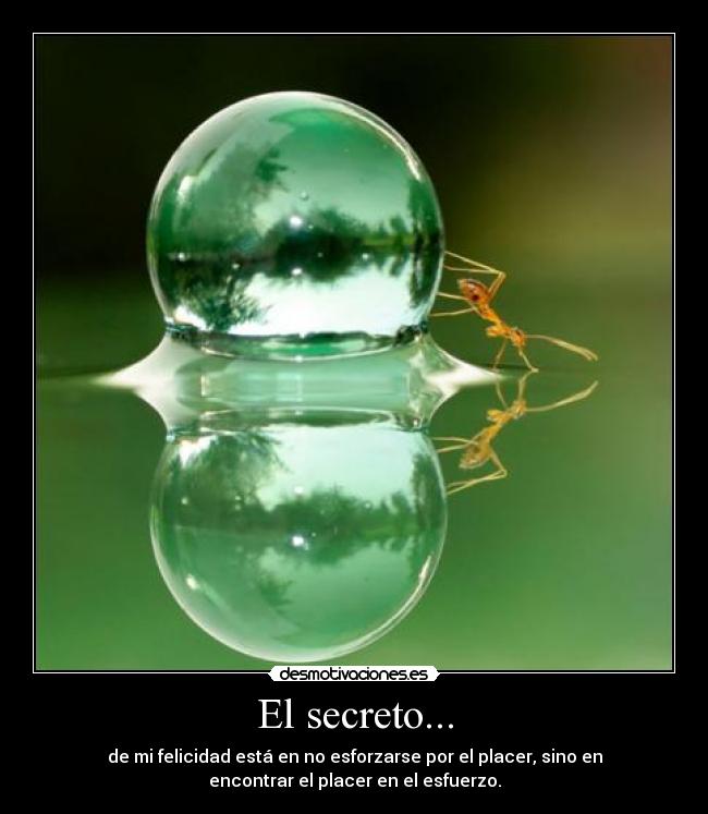 El secreto... -