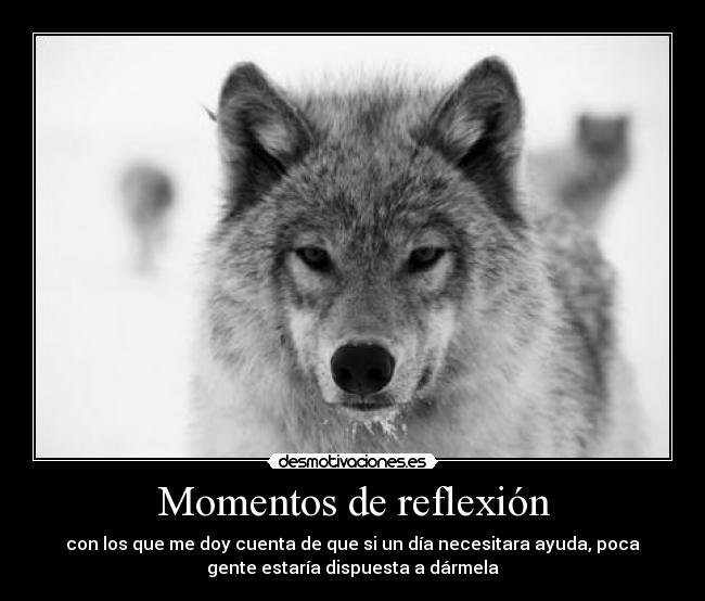 Momentos de reflexión - 