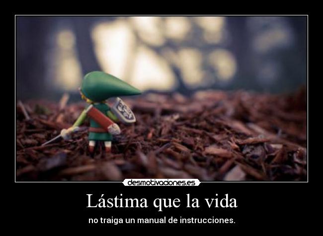 Lástima que la vida - no traiga un manual de instrucciones.