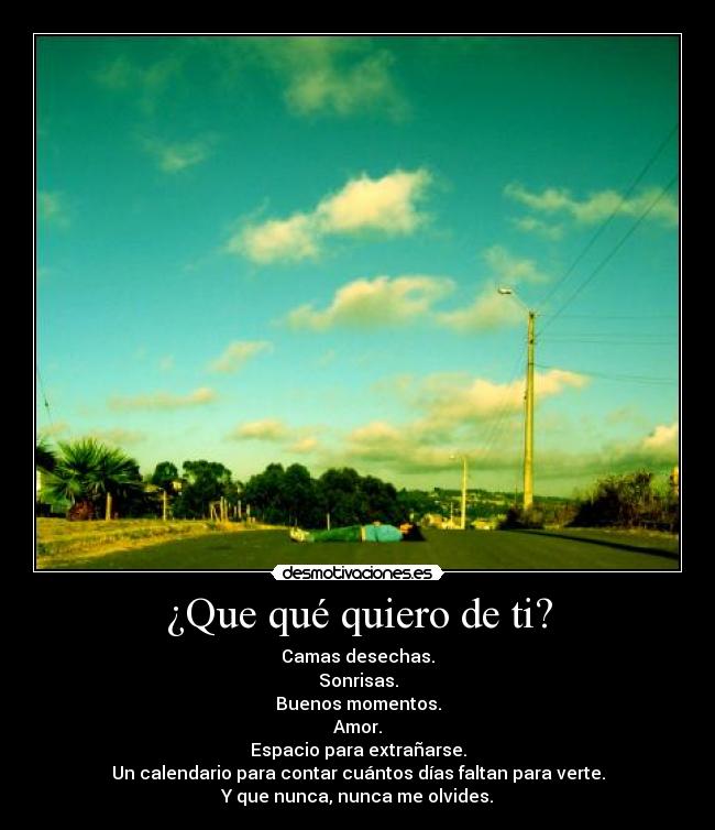 ¿Que qué quiero de ti? - 