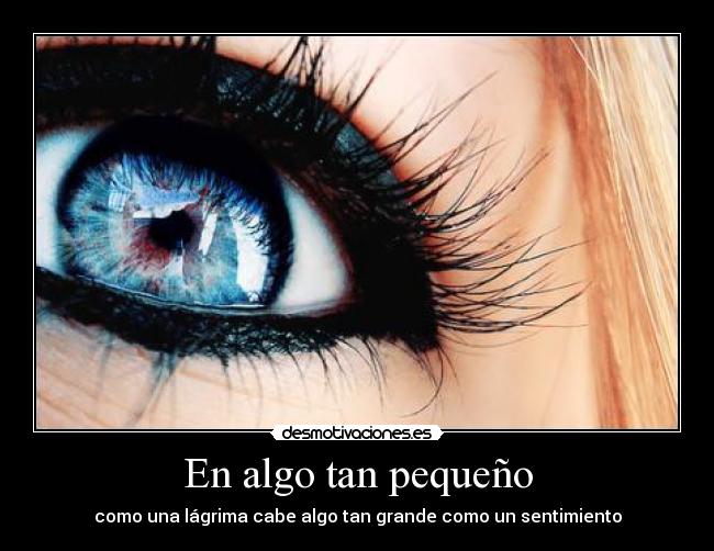 carteles algo tan pequeno desmotivaciones