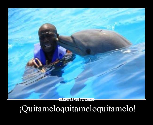 ¡Quitameloquitameloquitamelo! -
