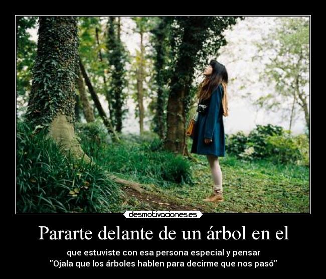 Pararte delante de un árbol en el -