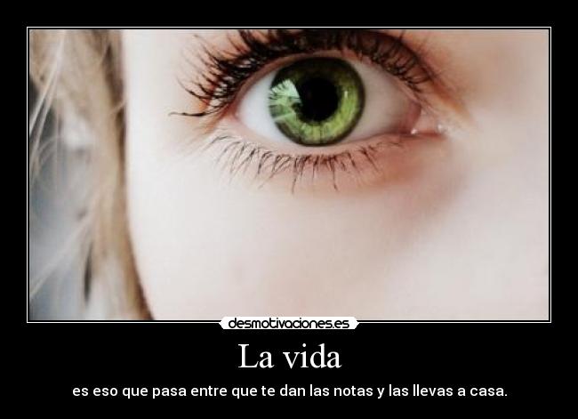 La vida - es eso que pasa entre que te dan las notas y las llevas a casa.