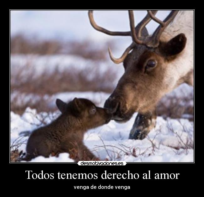 Todos tenemos derecho al amor - venga de donde venga