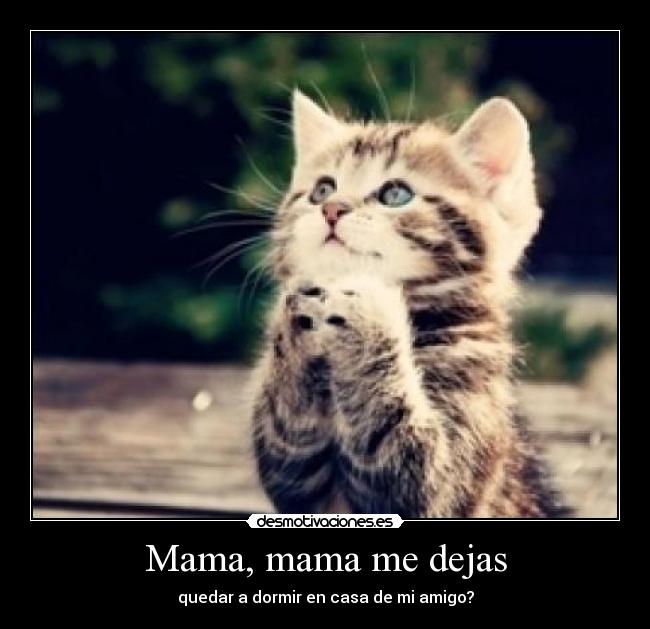 Mama, mama me dejas - quedar a dormir en casa de mi amigo?