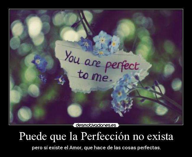 Puede que la Perfección no exista - 
