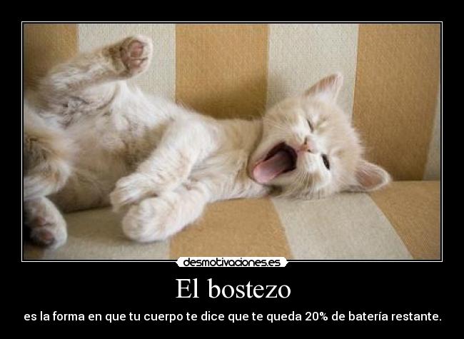 El bostezo - es la forma en que tu cuerpo te dice que te queda 20% de batería restante.