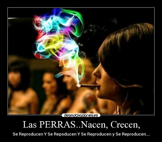 Las PERRAS..Nacen, Crecen, - 