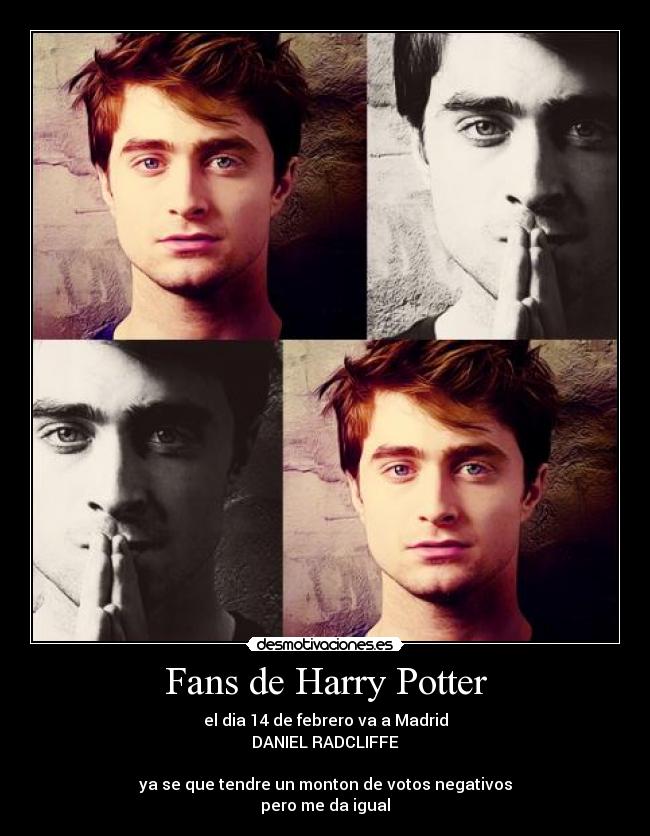Fans de Harry Potter -
