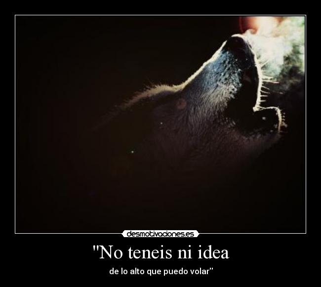 No teneis ni idea - 