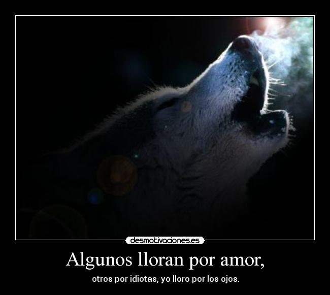 carteles amor a7x waitingfortheend come wishing had strength stand bollicao hipsalami forever desmotivaciones