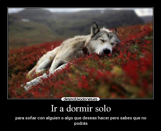 Ir a dormir solo -