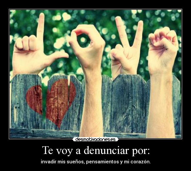 Te voy a denunciar por: -