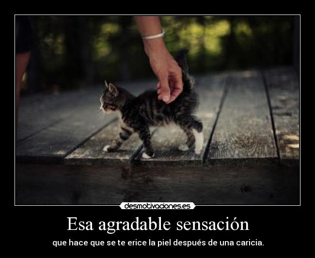 Esa agradable sensación -