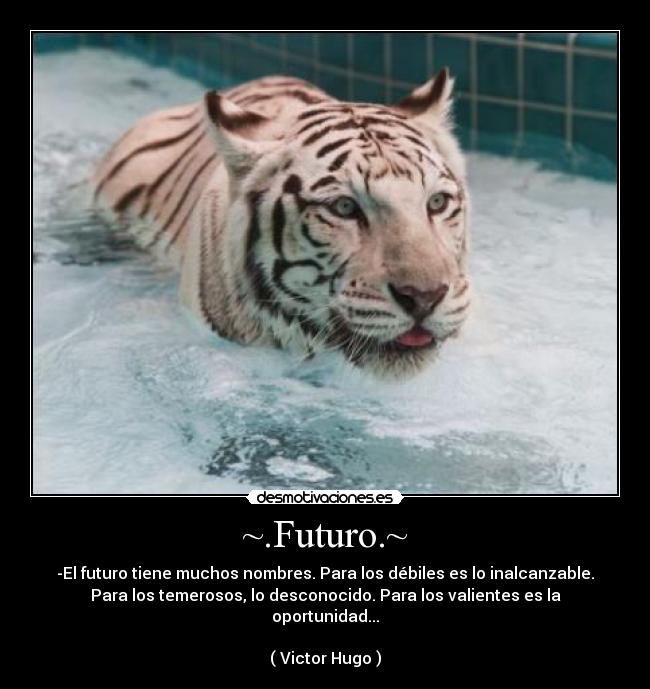 ~.Futuro.~ - -El futuro tiene muchos nombres. Para los débiles es lo inalcanzable.
Para los temerosos, lo desconocido. Para los valientes es la
oportunidad...
( Victor Hugo )