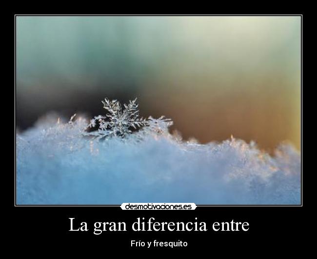 La gran diferencia entre - Frío y fresquito