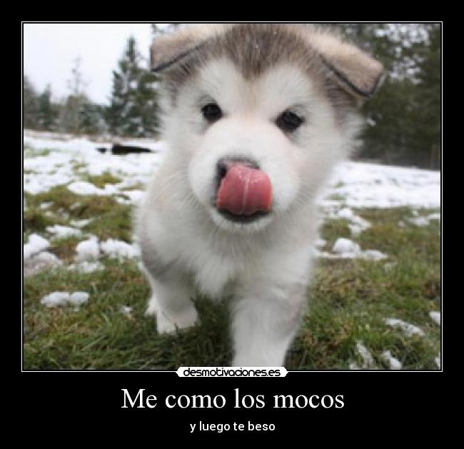 Me como los mocos - 