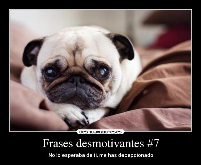 Frases desmotivantes #7 - 