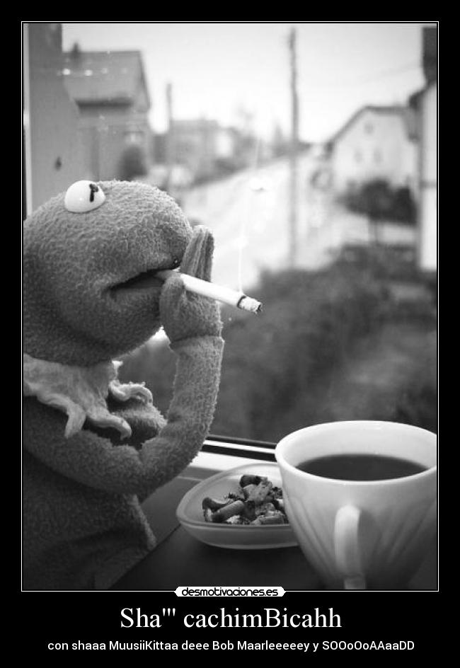 Sha cachimBicahh - con shaaa MuusiiKittaa deee Bob Maarleeeeey y SOOoOoAAaaDD