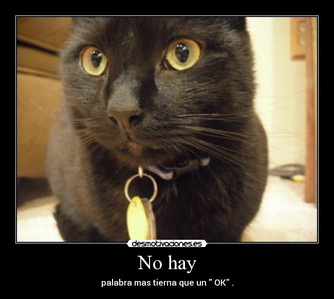 carteles 12344567890 desmotivaciones