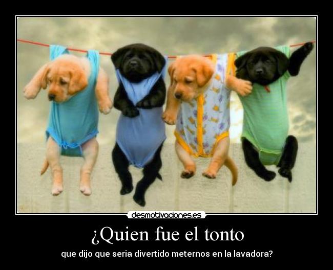 carteles tonto wise mentalist0001 nadie salva castigo muhahaha desmotivaciones