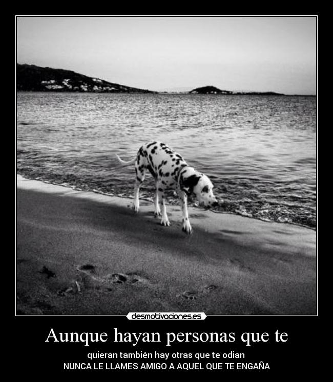 Aunque hayan personas que te - 