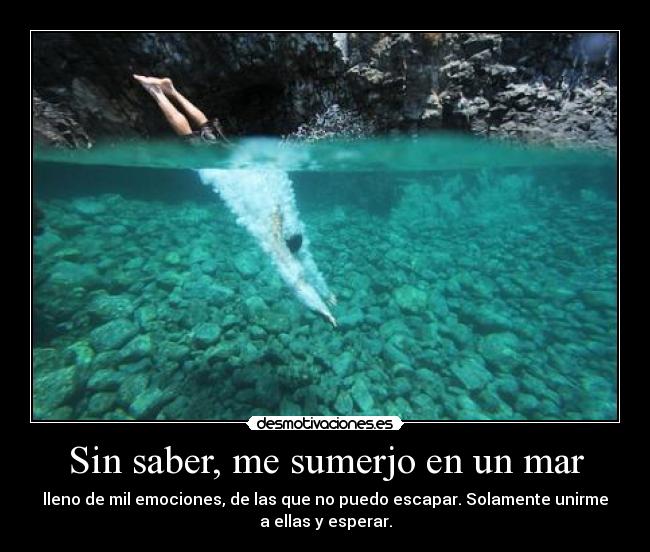 carteles lalocuna intruders flipytaker flipytaker flipytaker flipytaker quiero principe desmotivaciones