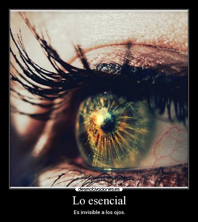 Lo esencial - Es invisible a los ojos.