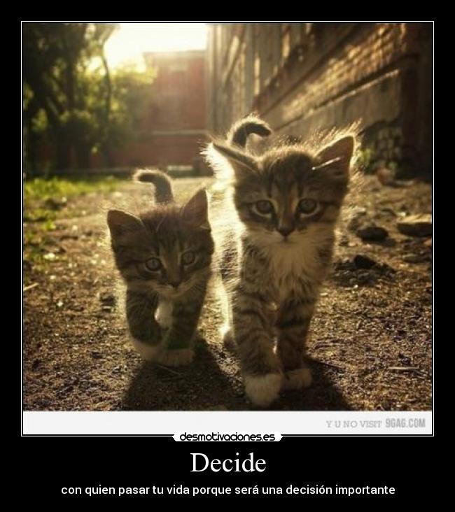 Decide - con quien pasar tu vida porque será una decisión importante