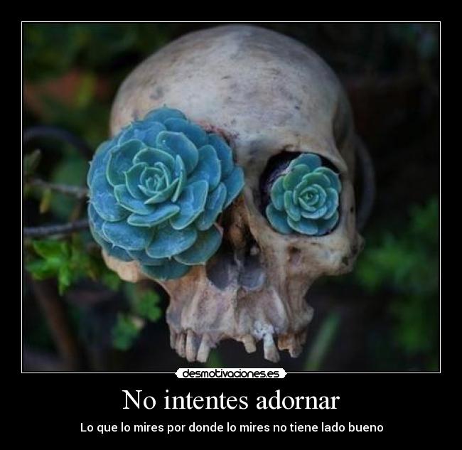 No intentes adornar -