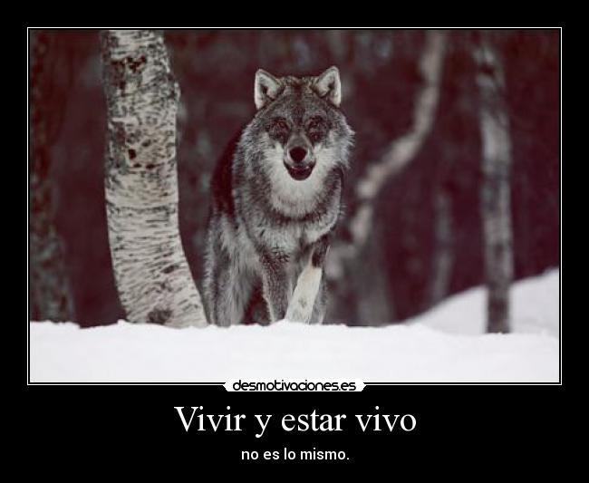 Vivir y estar vivo - 