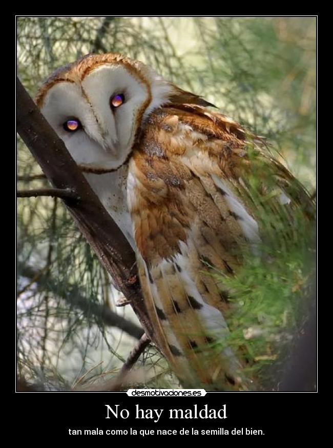 No hay maldad - tan mala como la que nace de la semilla del bien.