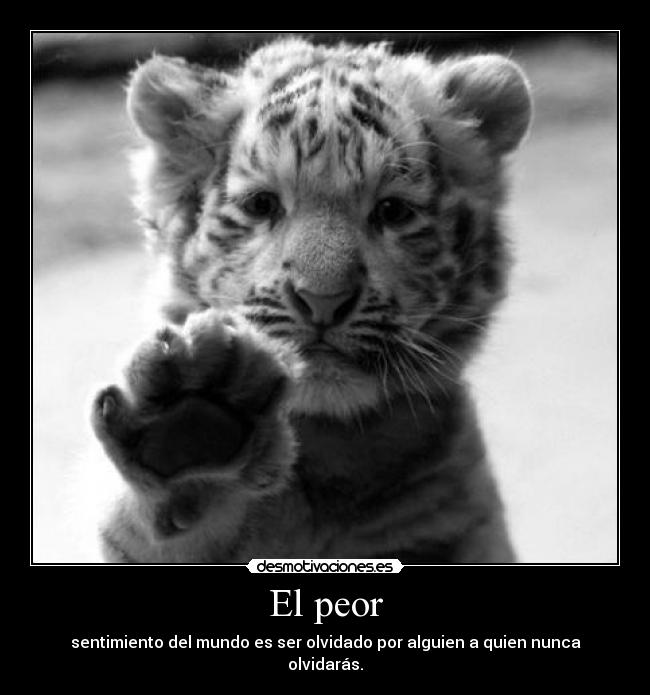 El peor - sentimiento del mundo es ser olvidado por alguien a quien nunca olvidarás.