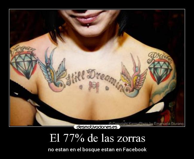 El 77% de las zorras -