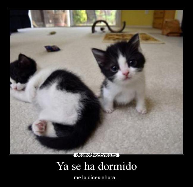 carteles r13 desmotivaciones