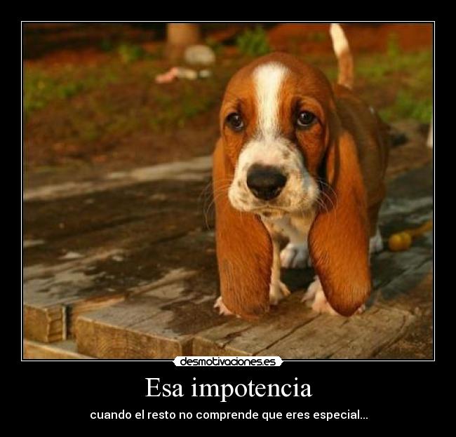 carteles tristeza impotencia especial desmotivaciones