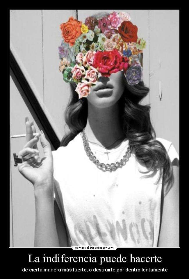 carteles nomiresaqui elclanviral toslocos lilyjames call name vida olajop desmotivaciones