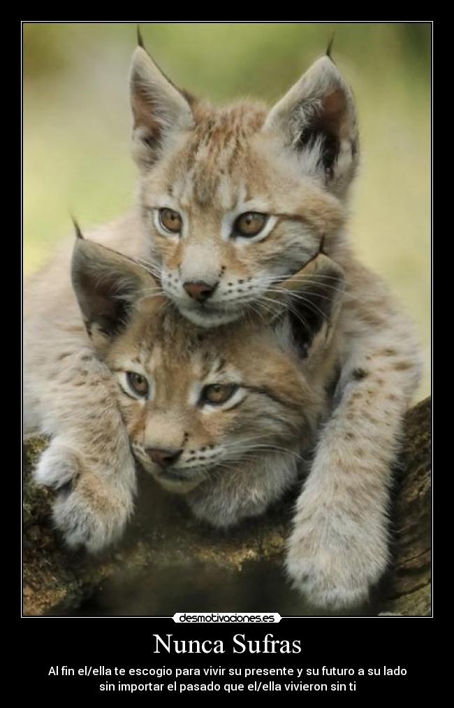 Nunca Sufras - Al fin el/ella te escogio para vivir su presente y su futuro a su lado
sin importar el pasado que el/ella vivieron sin ti