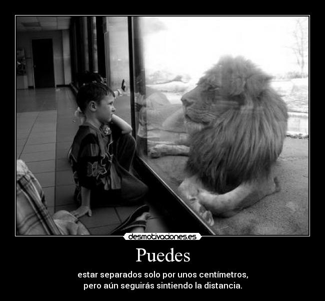 Puedes - estar separados solo por unos centímetros,
pero aún seguirás sintiendo la distancia.